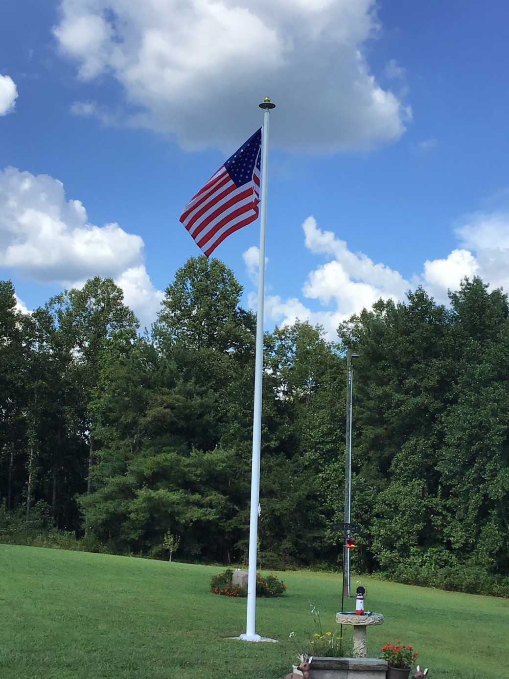 Flag/ Flag pole